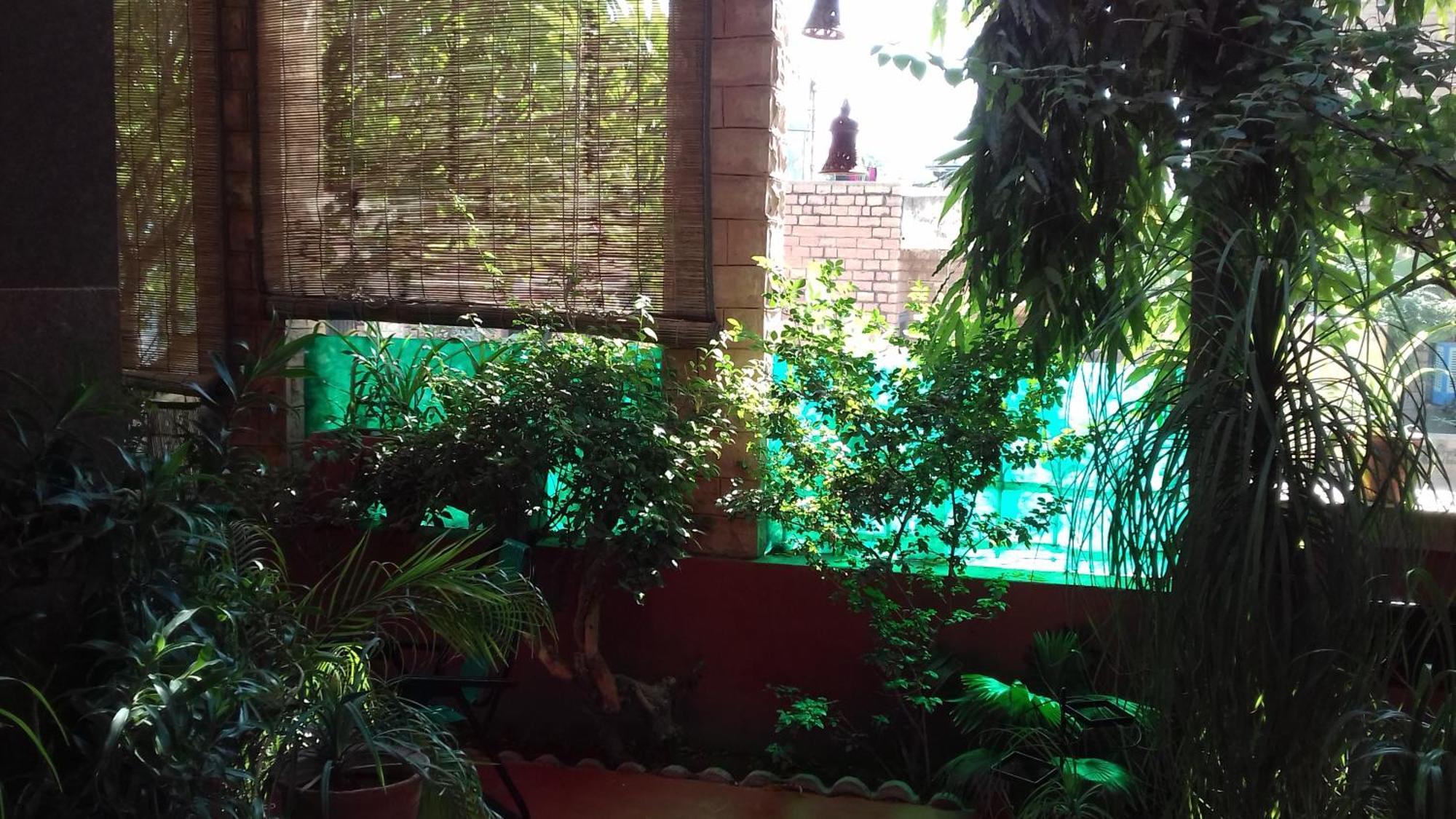 "Nain'S Kunj" A Traveller'S Home Džódhpur Exteriér fotografie